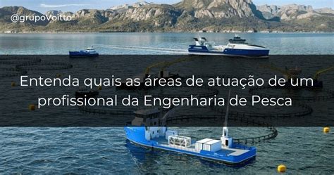 Veja Sobre O Curso E O Mercado De Engenharia De Pesca