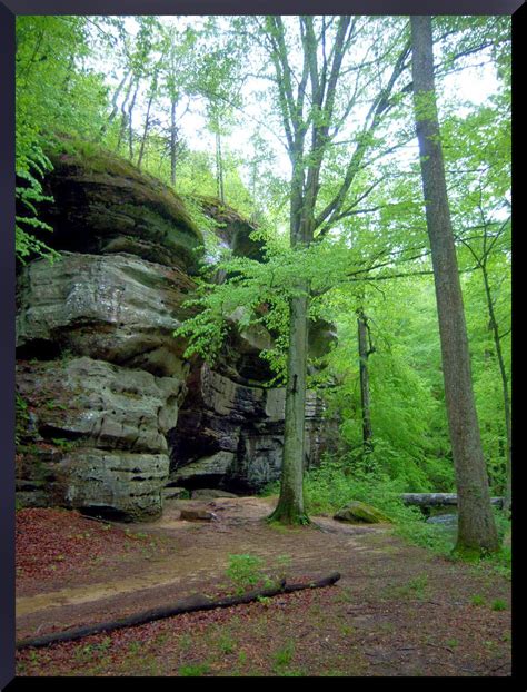 Illinois Botanizer: Rim Rock National Recreation Trail, Gallatin County ...