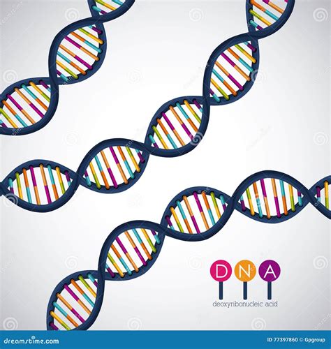 Dna Structure Chromosome Design Stock Vector Illustration Of Medicine