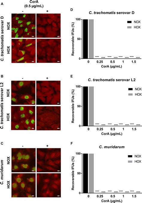 Frontiers Elaborations On Corallopyronin A As A Novel Treatment