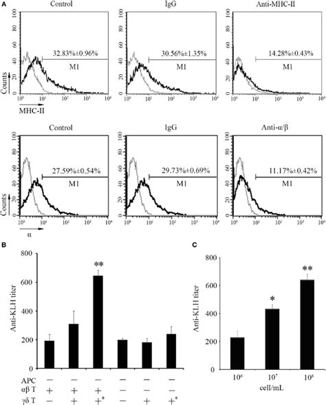 an adoptive transfer assay of γδ T cells in the igM production a