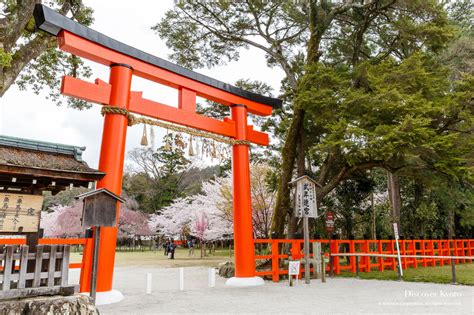 Kamigamo Jinja Discover Kyoto