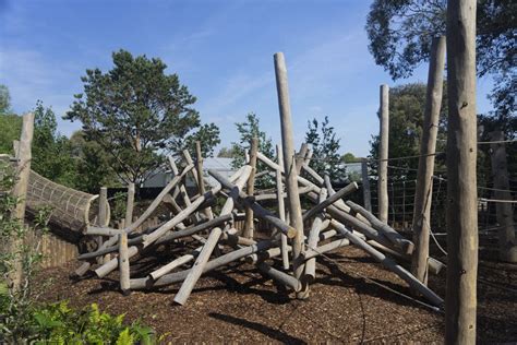 Natural Playgrounds Playquest Canada