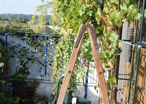 DIY 5 idées pour fabriquer un jardin vertical à partir de matériaux