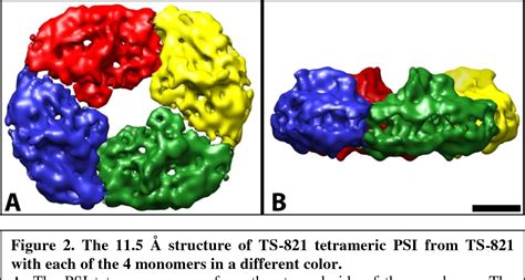 Figure 2 From Cryo EM Structure Of A Tetrameric Cyanobacterial