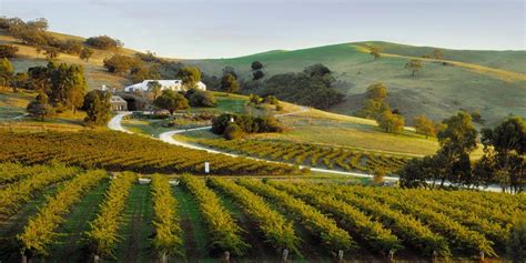 Barossa Valley One Of Australias Oldest And Most Premier Wine Regions