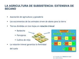 Sector Primario Agricultura De Subsistencia PPT Descarga Gratuita