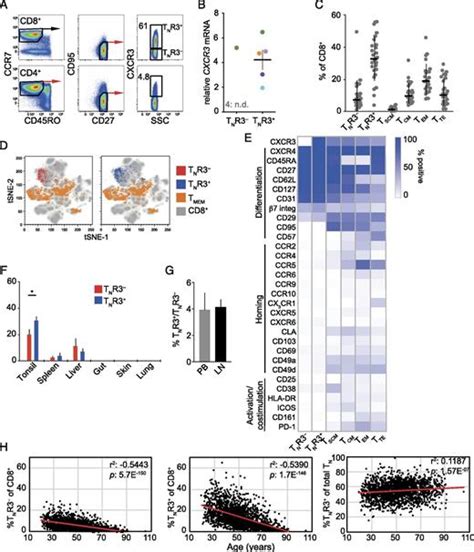 Cxcr3 Identifies Human Naive Cd8 T Cells With Enhanced Effector