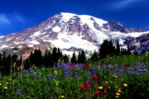 Mount Rainer Hd Wallpaper Wallpapers Quality