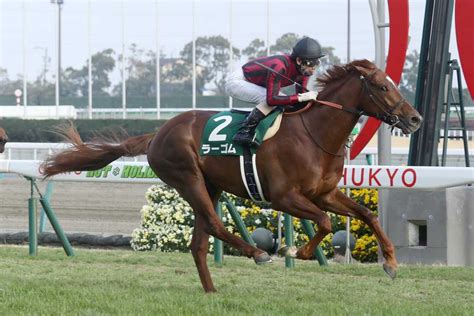 ラーゴム競走馬2018年産 成績｜地方競馬予想のウマニティ