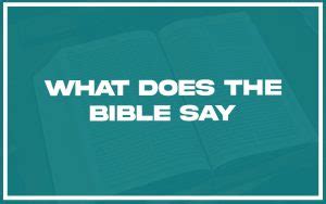 What Does The Bible Say About Same Sex Marriages Verses Explained Christianity Path
