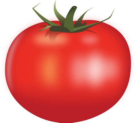 Clipart - Tomato by Rones