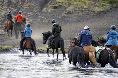 Islande La Qu Te Des Origines Galerie Z Filmu Sfd Cz