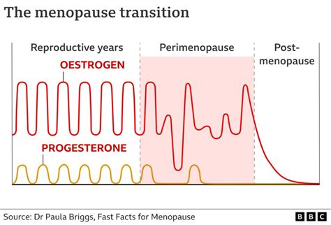 What Is The Menopause And What Are The Signs Bbc News