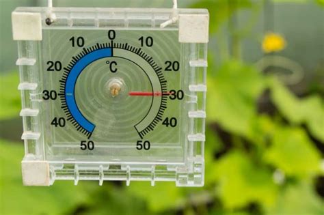 Gew Chshaus Thermometer Ratgeber Gartenpflege