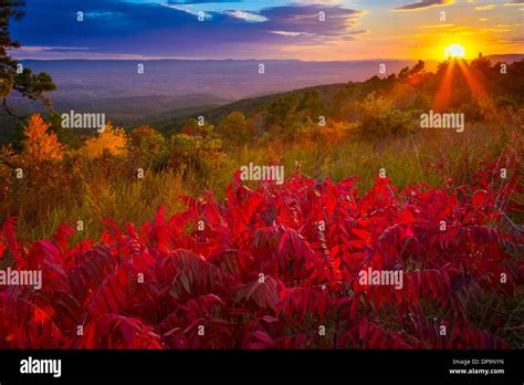 The Talimena Scenic Drive Is A National Scenic Byway In Southeastern