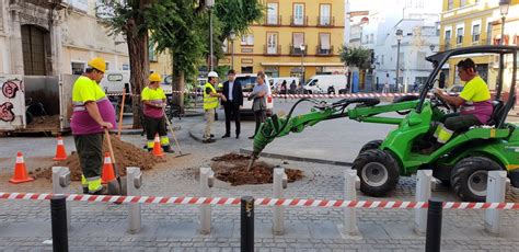 Ayuntamiento de Sevilla inicia los trabajos previos a la plantación de