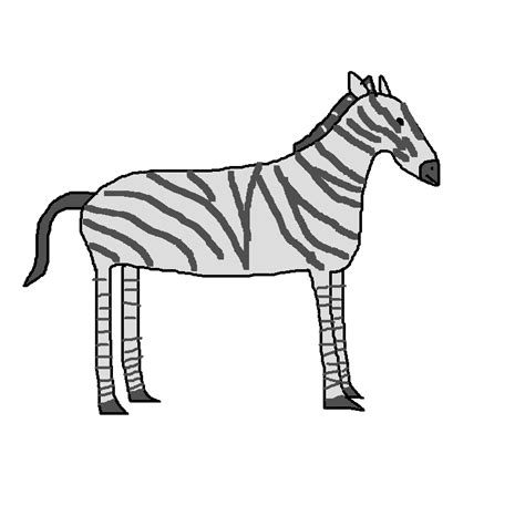 Plains Zebra Species Wiki Fandom