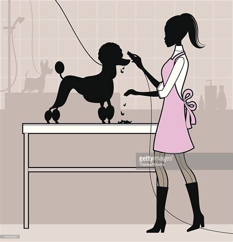 A Female Dog Groomer Clipping A Poodles Coat Dog Groomers Dog