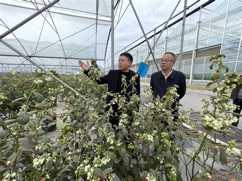 四川省农业科学院张雄副院长率队赴什邡市调研军民融合军地共建项目推进情况