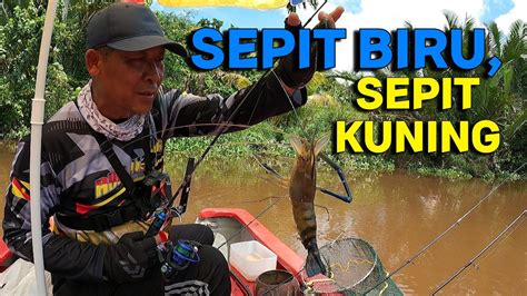 PENGANTIN BARU TAK SEMPAT MANCING 142 Mancing Udang Galah Borneo