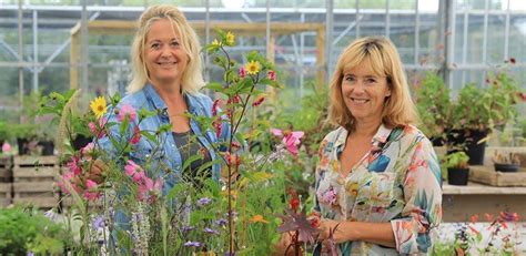 Eenjarige Planten Zijn Onmisbaar Ze Voorzien De Tuin Van Het Vroege