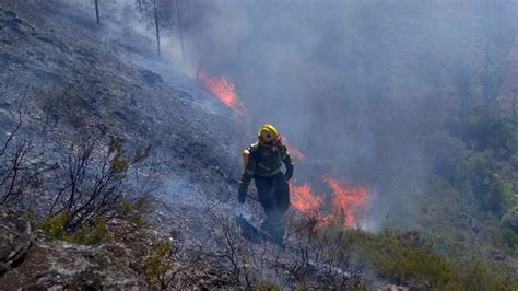 Activo un incendio en Ribadavia que ha calcinado ya 35 hectáreas