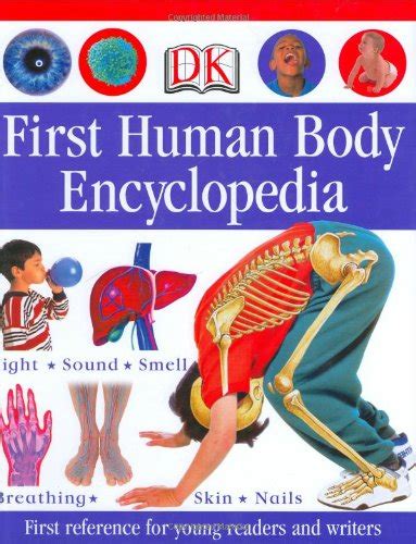 The Best Anatomy Books & Learning Aids for Kids - Natural Beach Living