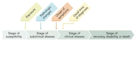 Community Health Exam Modules Flashcards Quizlet