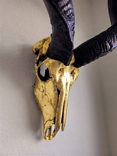 Kudu Skull – 24K Gold Leafed - Skull Lab