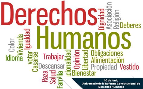 Derechos Humanos Mas Importantes