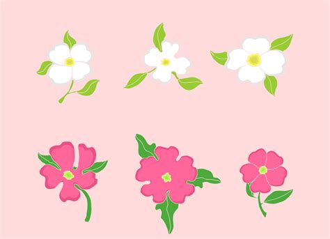 Dogwood Flowers 206417 Vector Art At Vecteezy