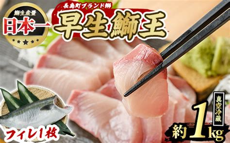 ぶりの王様 「 鰤王 」早生 鰤王フィレ 約10kg・フィレ1枚 産地直送 新鮮 旨味が抜群の 長島町 特産品 ブランド ぶり 鰤 ブリ