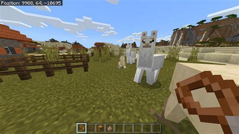 How to Breed Llamas in Minecraft: All you need to know!