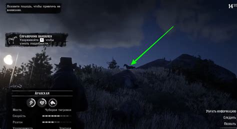 Черная (тигровая) арабская лошадь в Red Dead Redemption 2. Где найти?