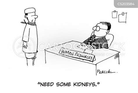 Kidney Donor Cartoon - Kidney transplant cartoon 2 of 2 a new kidney is ...