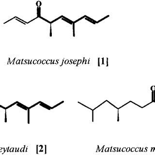 The Structure Of The Known Sex Pheromones Of Matsucoccus Spp The