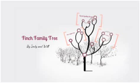 Finch Family Tree by Chica chica Chica Chica on Prezi