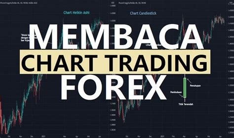 Cara Membaca Chart Trading Forex Untuk Pemula