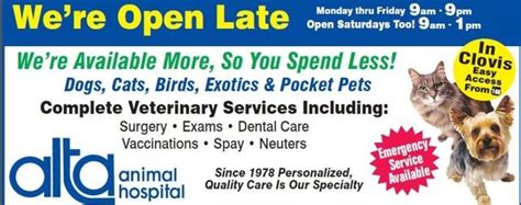 Alta Animal Hospital Clovis Ca Veterinarians Alta Animal