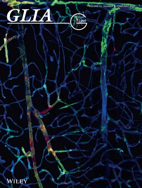 Correction To “sex‐specific Transcriptome Of Spinal Microglia In