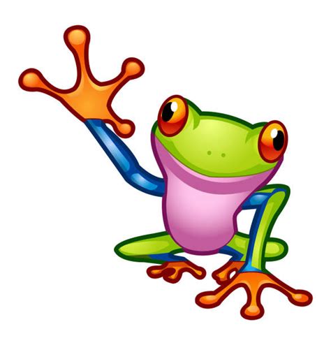 160 Katak Daun Ilustrasi Grafik Vektor And Clip Art Bebas Royalti