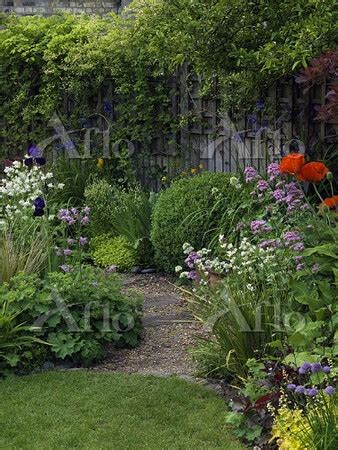 Wood And Gravel Path Winds Between Beds Of Sisyrinchium Chives