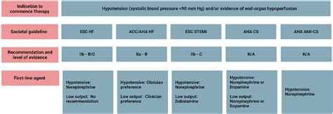 State Of Shock Contemporary Vasopressor And Inotrope Use In