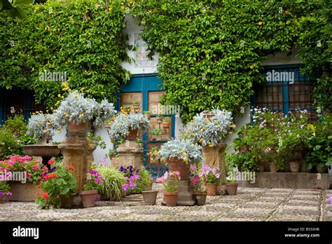 Plant Pots In A Mediterranean Courtyard Garden Part Of The Festival Of