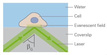 Total Internal Reflection Fluorescence (TIRF) Microscopy | ibidi