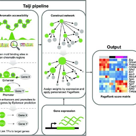 The Workflow Of Study And Taiji Pipeline Matched RNA Seq And ATAC Seq