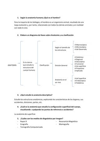 Anatomia PDF