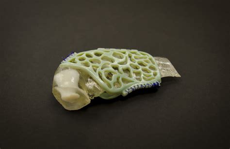 Injured sea turtle? Just print a splint!