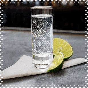 Tequila Cocktail Recipes Mixed Drinks| Exotico Tequila